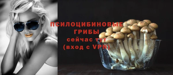 винт Белокуриха