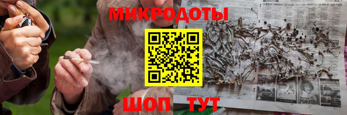 Псилоцибиновые грибы Cubensis Вязьма