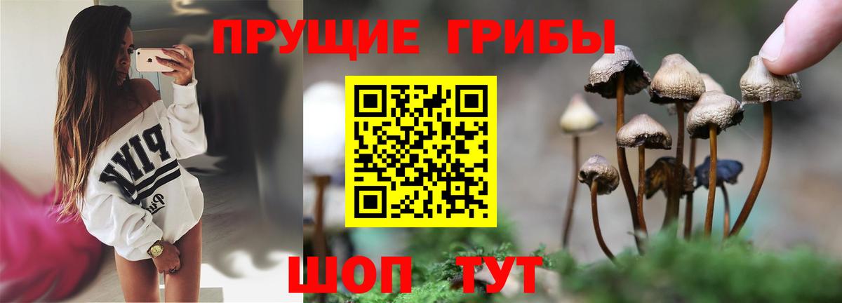 Псилоцибиновые грибы мухоморы  Вход с VPN  Вязьма 